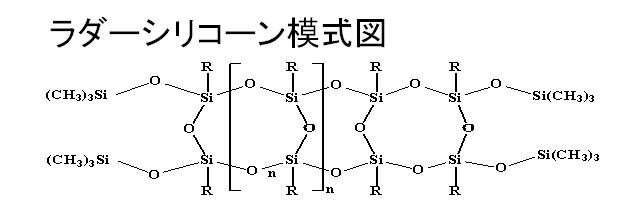 ラダーシリコーン