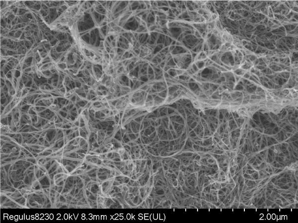 Carbon Nanotube Dispersion