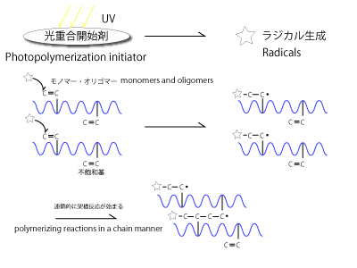 Why does UV resin react to UV light? What chemical reaction is happening  during its curing process? - Quora